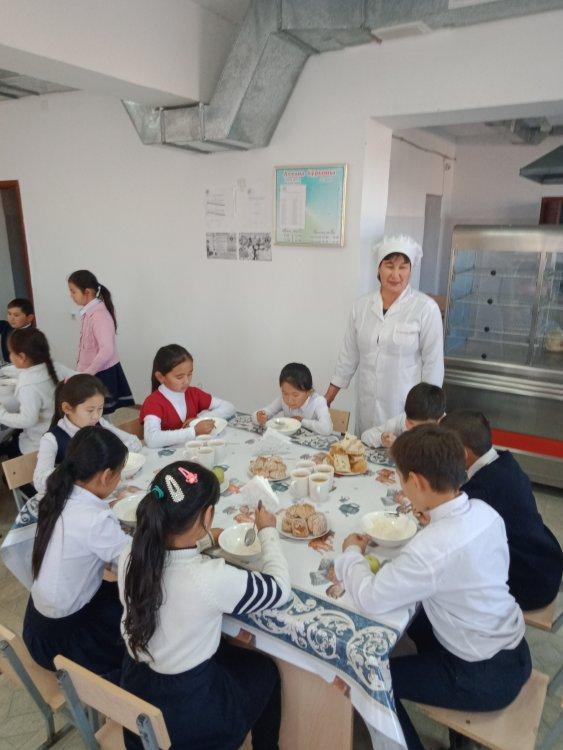 Тамақтандыру сапасы